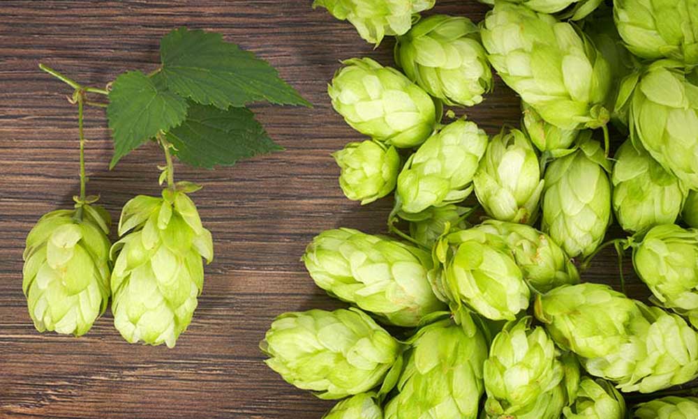 開精釀啤酒廠容易嗎？