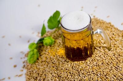 精釀<a href=http://m.phpaspjc.cn/ target=_blank class=infotextkey>啤酒設(shè)備</a>,啤酒廠設(shè)備,開辦啤酒廠，大麥