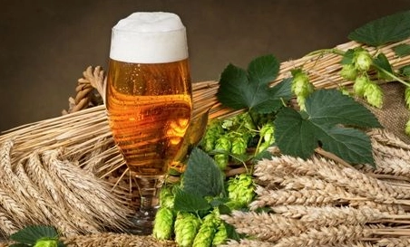 精釀<a href=http://m.phpaspjc.cn/ target=_blank class=infotextkey>啤酒設備</a>,啤酒廠設備,開辦啤酒廠，浸麥